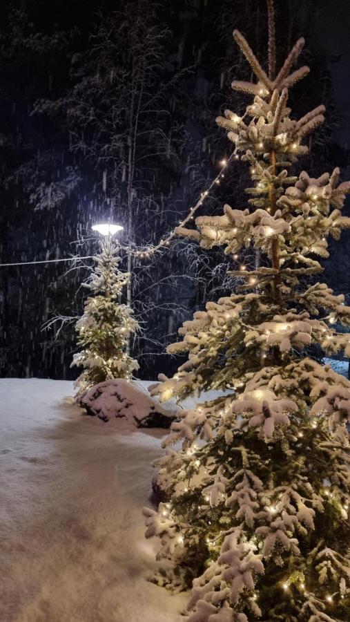 Asikkalan Motelli Vesivehmaa Dış mekan fotoğraf