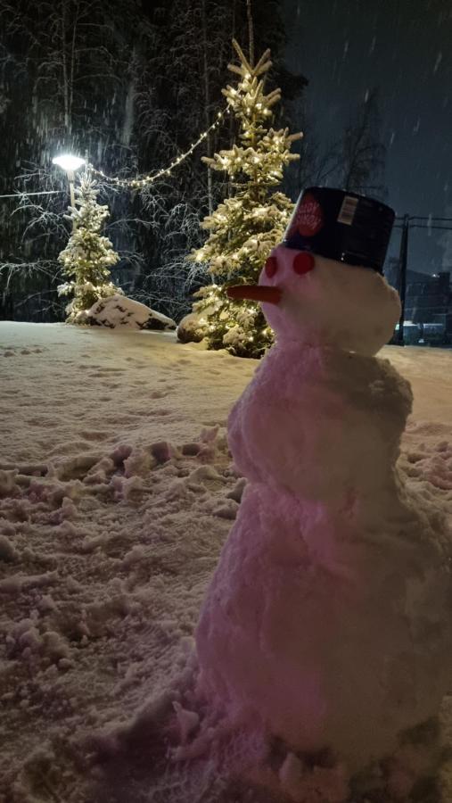 Asikkalan Motelli Vesivehmaa Dış mekan fotoğraf